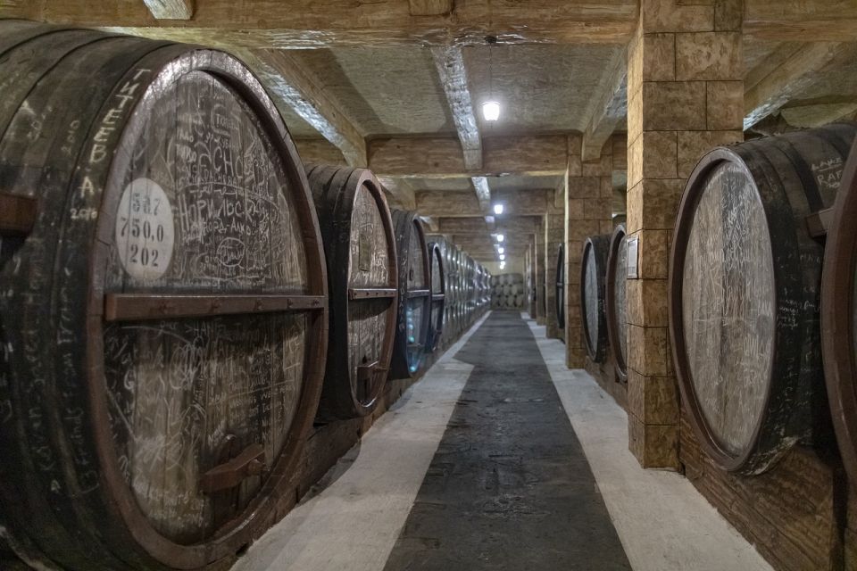 Half Day VIP Wine Tours Top Winery 5 Hours - Explore Chianti Vineyard Grounds