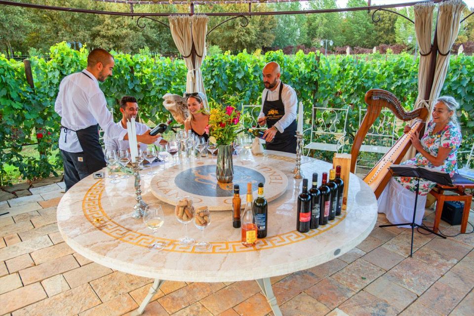 San Gimignano: Exclusive and Private Canopy Dinner in Winery - Event Details