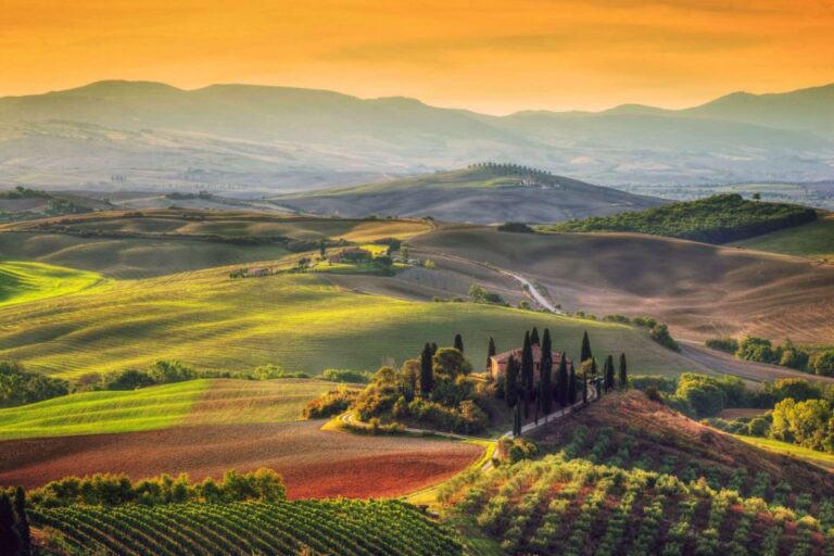 Tuscany Highlights and Wine Private Car Tour From Florence