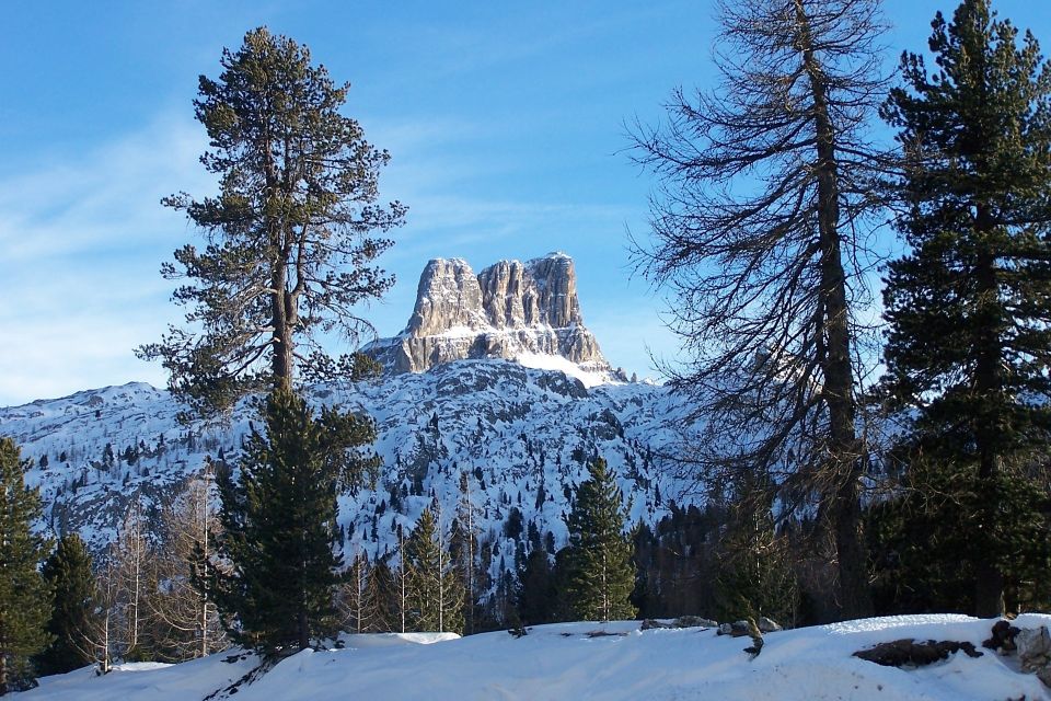 From Venice: Cortina and the Dolomites in One Day - Exploring Cortina Dampezzo