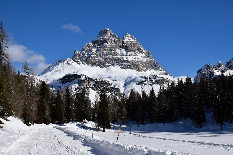 From Venice: Cortina and the Dolomites in One Day - Relaxing by Mountain Lakes