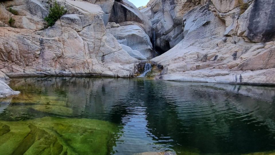 Blue Zone: Tour Among the Secrets of Sardinians Longevity - Frequently Asked Questions