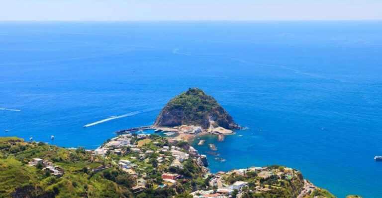 From Sorrento: Ischia Boat Tour