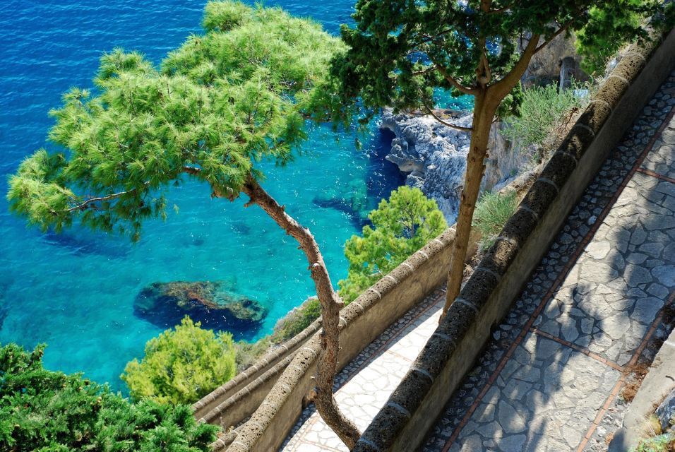 Salerno to Capri Private Boat Excursion - Tour Details