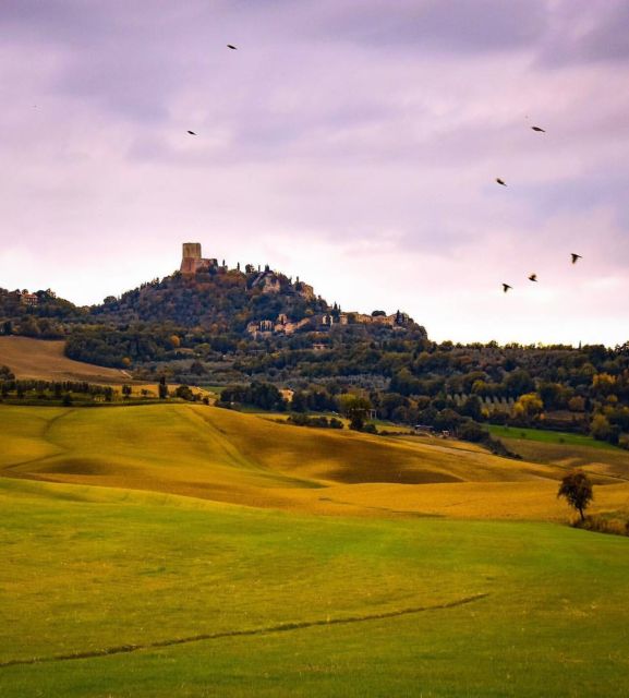 3-Hour Private Dinner in a Medieval Tower in San Gimignano - Renaissance-Era Dining Experience