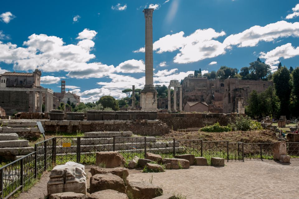 Rome: Colosseum Arena, Roman Forum and Navona Private Tour - Recap