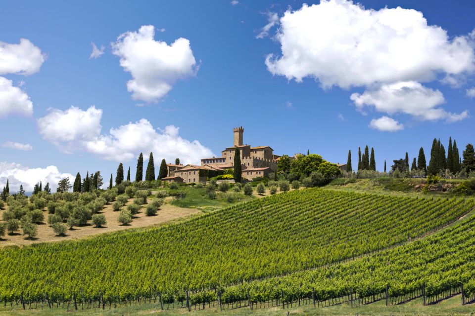 Best of Tuscany: Full Day Private Tour of the Val D'orcia - Key Points