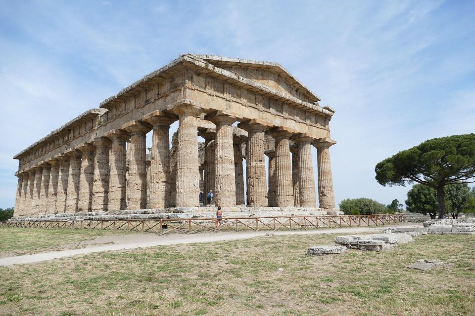 From Sorrento: Paestum Temples and Buffalo Mozzarella Farm - Key Points