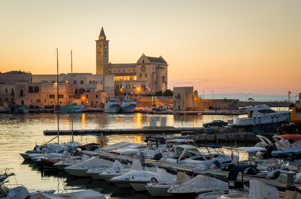 One-Day Trip From Matera to Bari, Gravina, Castel Del Monte and Trani - Key Points